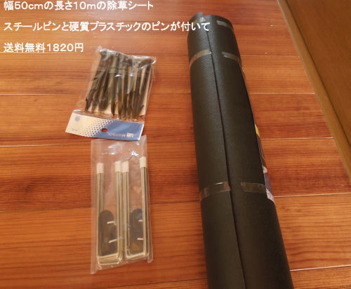 DSCN0076.JPG