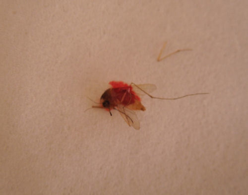 DSCN9558.JPG