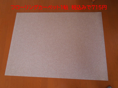 DSCN9963m.jpg